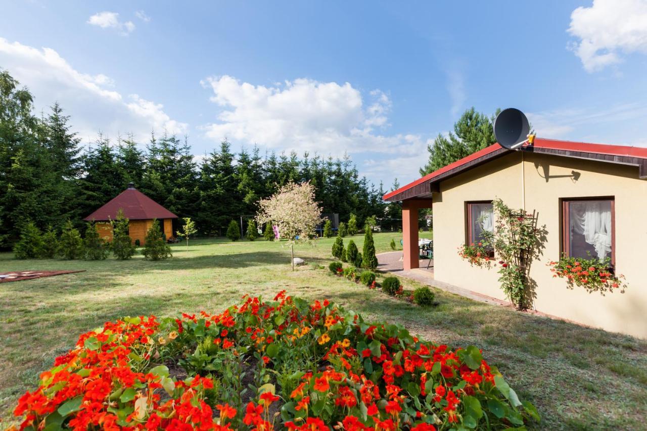 Pod Brzoza Villa Dargobądz Buitenkant foto